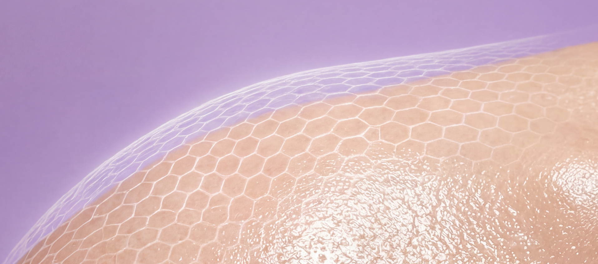 SKIN BARRIER REPAIR™ TECHNOLOGIE